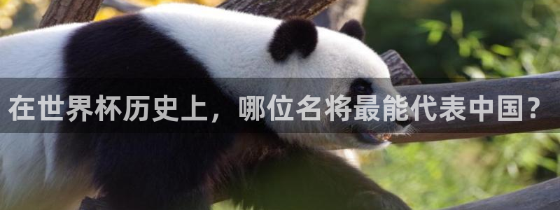 世界杯对阵表：在世界杯历史上，哪位名将最能代表中国？