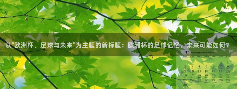世界杯足球2026：以\