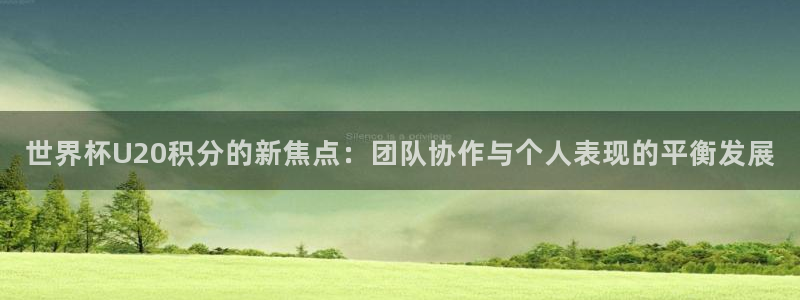 世界杯亚洲区预选赛赛程表：世界杯U20积分的新焦点：团队协作与个人表现的平衡发展
