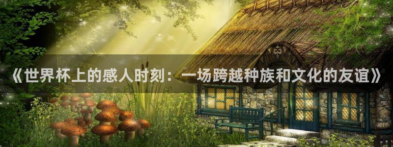 世界杯直播时间：《世界杯上的感人时刻：一场跨越种族和文化的友谊》