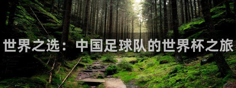 世界杯2026赛程表：世界之选：中国足球队的世界杯之旅