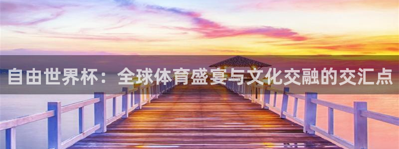 世界杯比赛：自由世界杯：全球体育盛宴与文化交融的交汇点