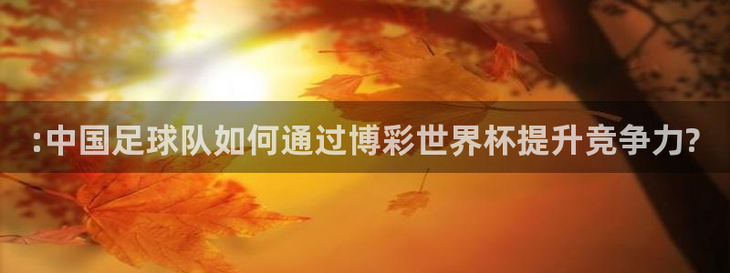 世界杯预选赛赛程：:中国足球队如何通过博彩世界杯提升竞争力?