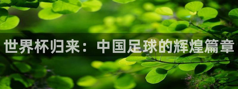 世界杯比赛时间：世界杯归来：中国足球的辉煌篇章