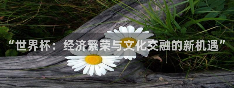 中国 世界杯：“世界杯：经济繁荣与文化交融的新机遇”