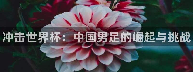 2026世界杯欧洲预选赛赛程表：冲击世界杯：中国男足的崛起与挑战