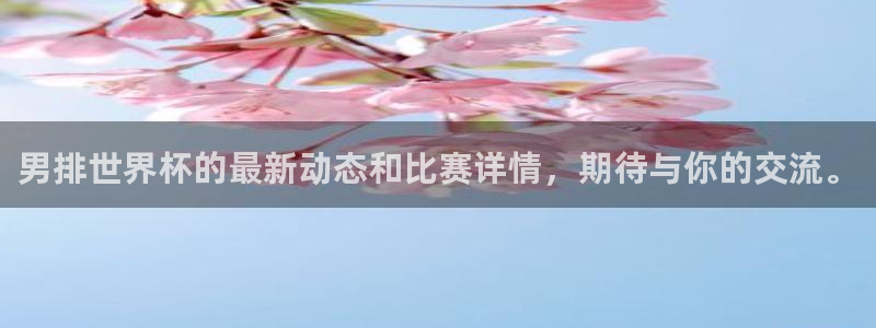 2026世界杯对阵图：男排世界杯的最新动态和比赛详情，期待与你的交流。